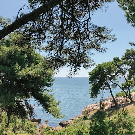 Apartments Nautilus Ulcinj Eksteriør billede