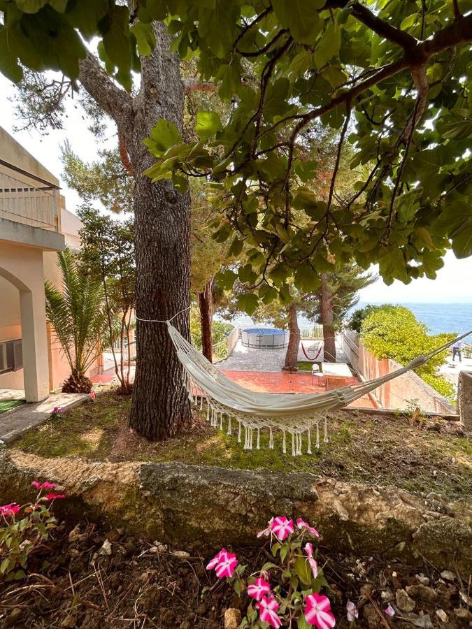 Apartments Nautilus Ulcinj Eksteriør billede